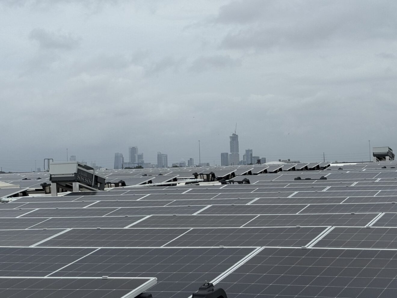 Rows of solar panels on the Lighthouse roof